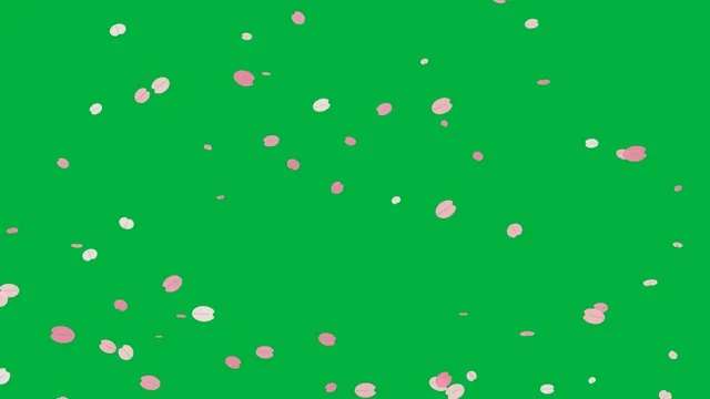 Cherry Blossom Petals Green Screen preview