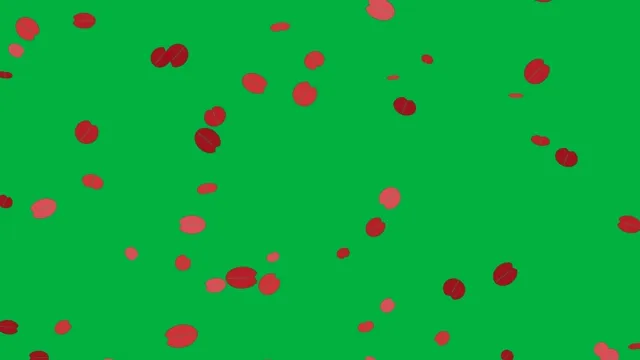 Red Rose Petals Green Screen preview